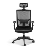 YSSOA Office Ergonomic Mesh Computer Chair with Wheels & Arms & Lumbar Support, 02B, Black-Pro